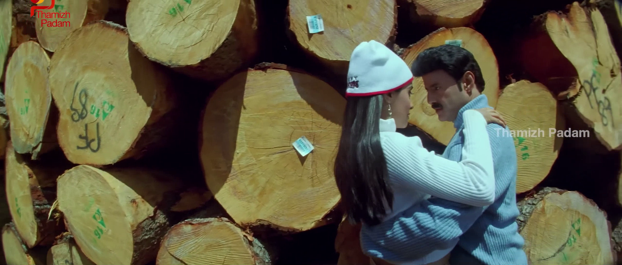 vlcsnap-2025-09-30-17h39m58s399