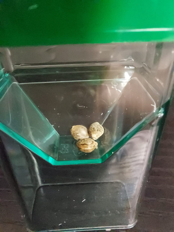 WhatsApp Image 2024-04-12 at 00.57.54