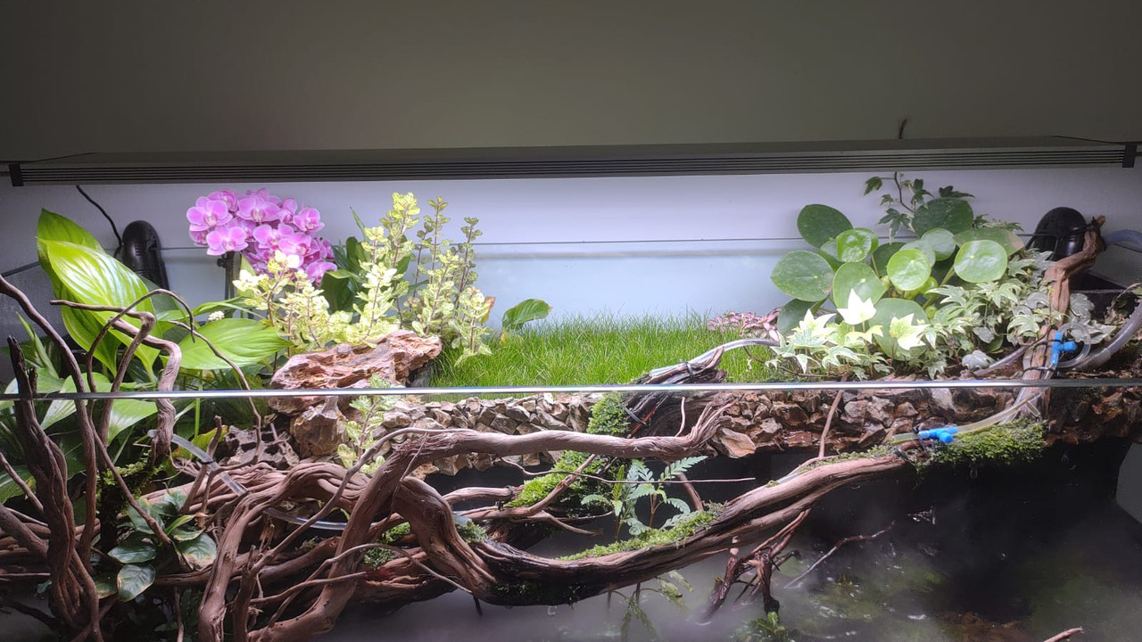 WhatsApp Image 2021-05-11 at 16.25.38 (2)