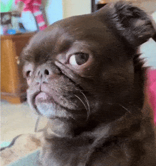 IMG-4780.gif