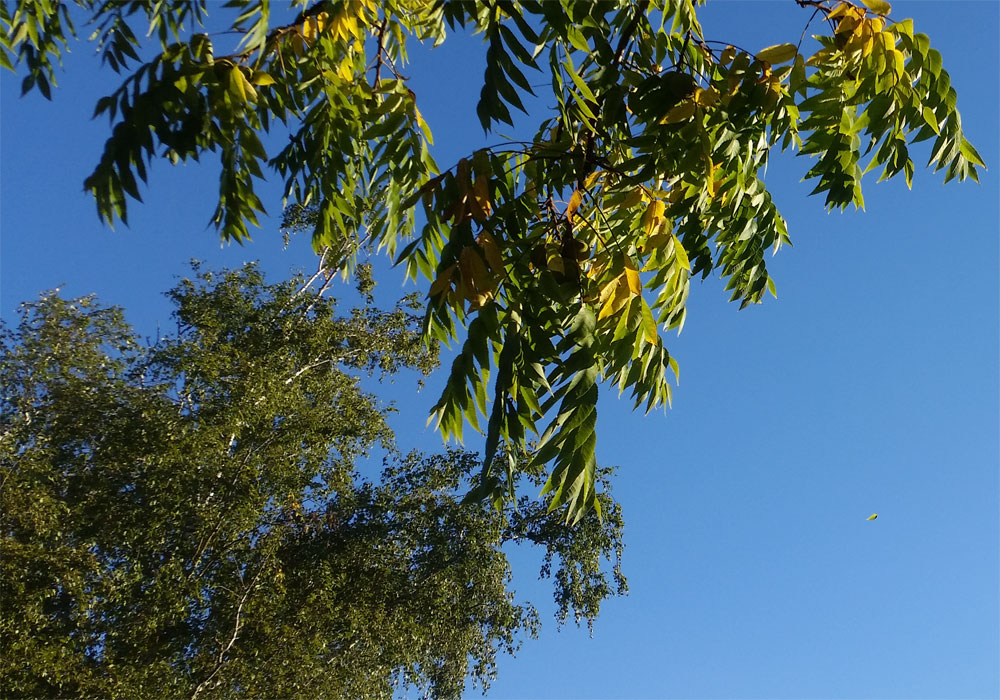 [Image: y20180924_180912.jpg]