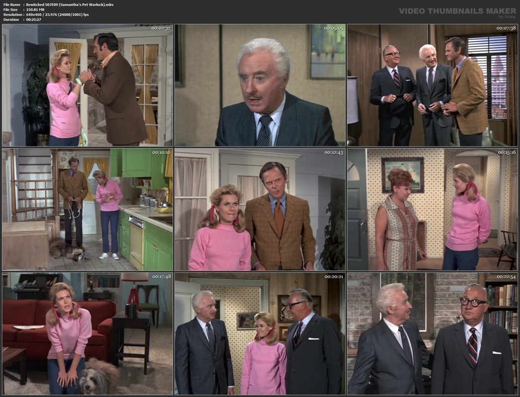 Bewitched S07E09 (Samantha's Pet Warlock).mkv
