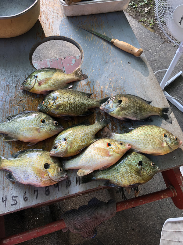 03CC7898-DE75-4472-9B1D-53CE4872C2B8