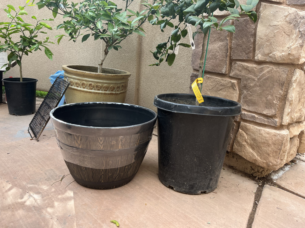 20F1DFB6-3899-405A-A3AD-79088F65FF33