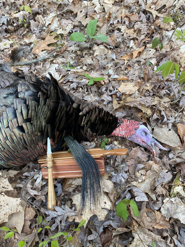 FA83819D-9D4E-4270-8DAC-AA5902268DCD