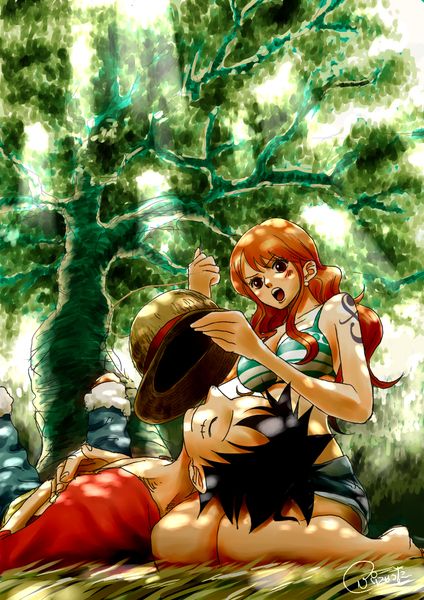 Luffy-and-Nami-this-is-really-well-done-Really