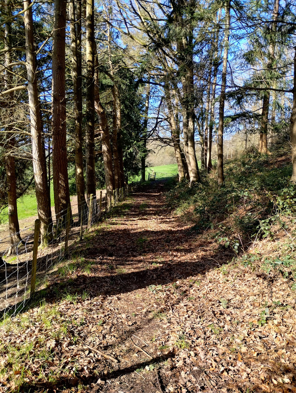 Walk14Mawrth (4) rszd