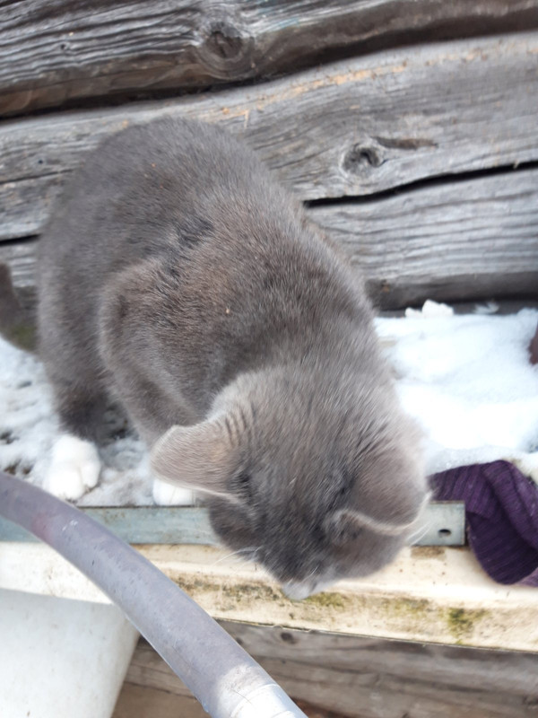 D3997D27-3A99-44AF-A7AB-C48B23011DBD