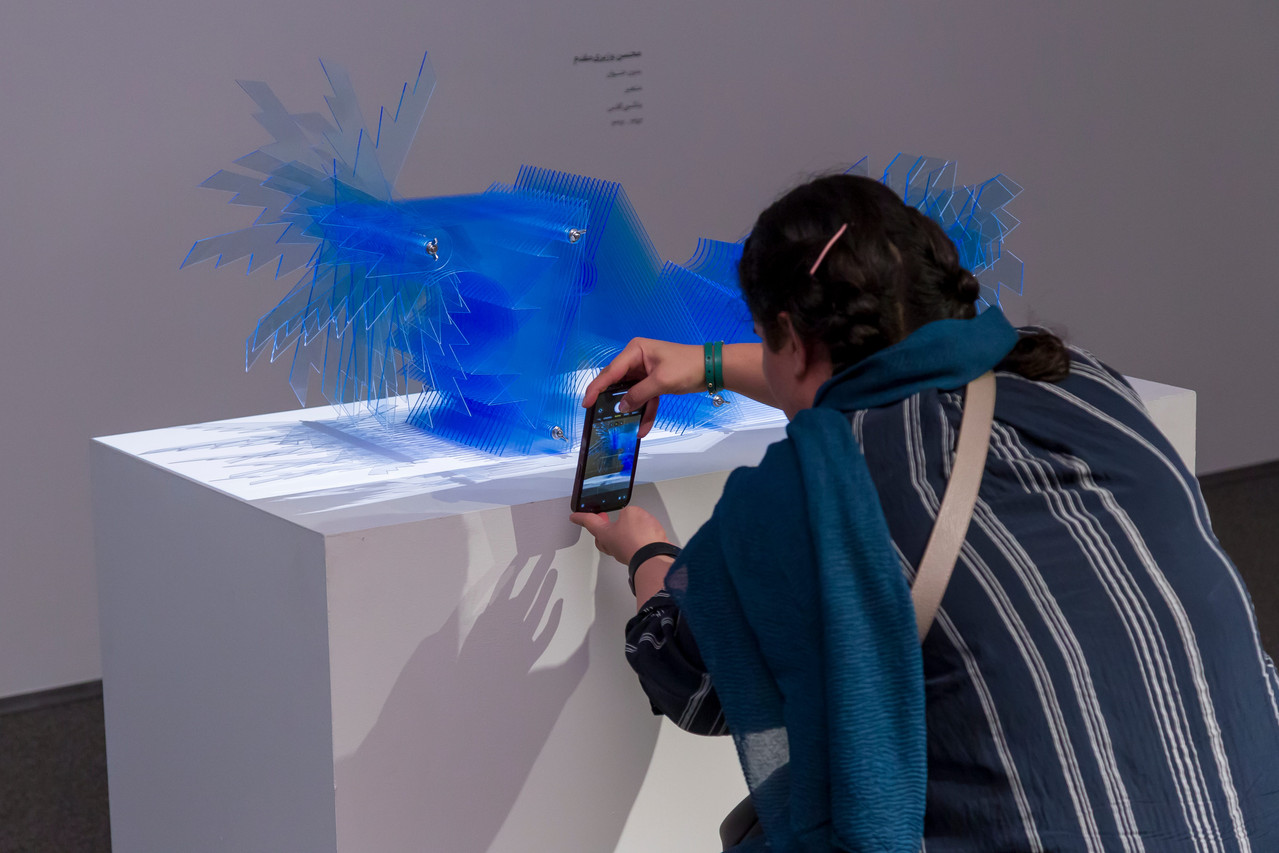 Transparency gallery 1