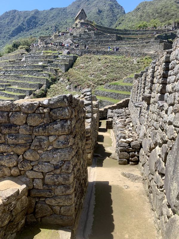 3D3F954C-2D7E-453D-B7A9-67A0FE391820