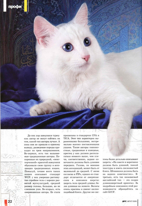 Друг кошек № 8 2009-22