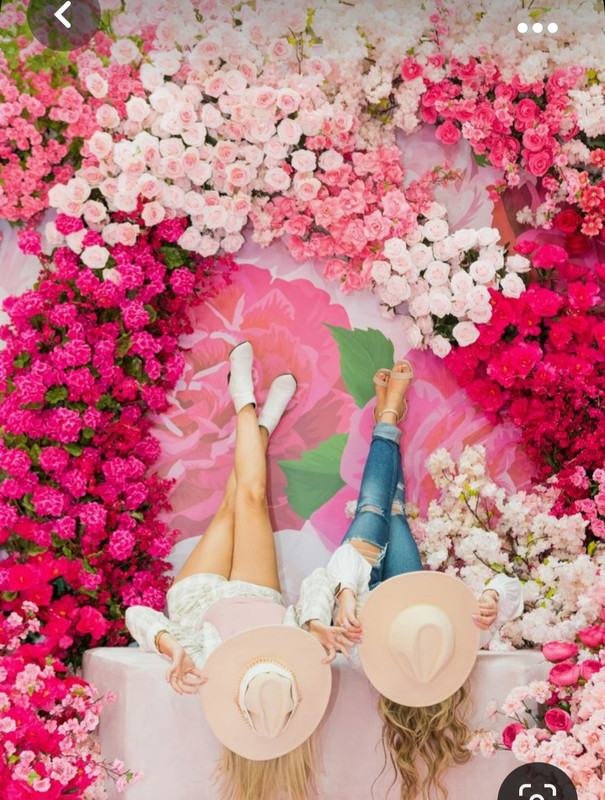 Screenshot_20231005_212057_Pinterest