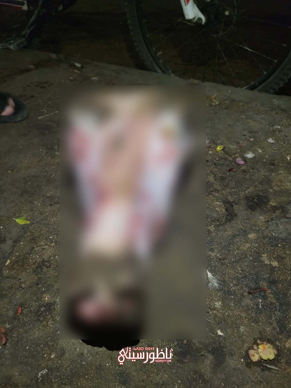 WhatsApp Image 2024-08-27 at 23.27.58 (3)