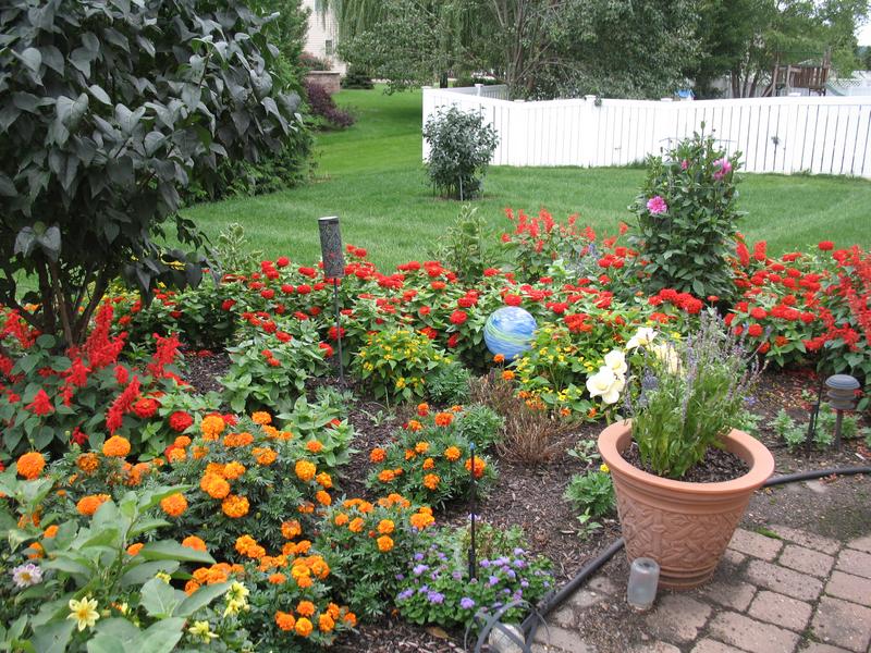 Lawn and Gardens 08.19.2018  (2)