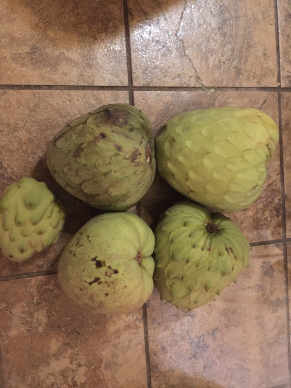 B9386781-407B-4E75-8087-2DBBA296F134