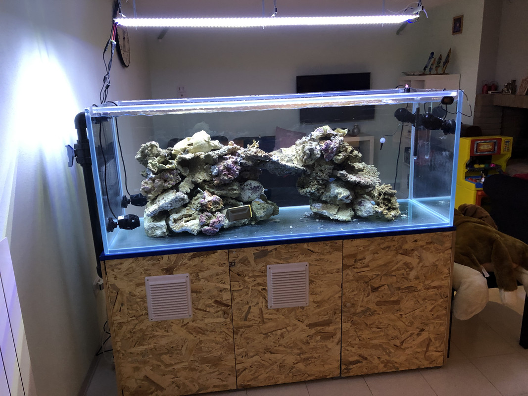 0147F09E-6548-4411-86AF-CF3D2B5930EF