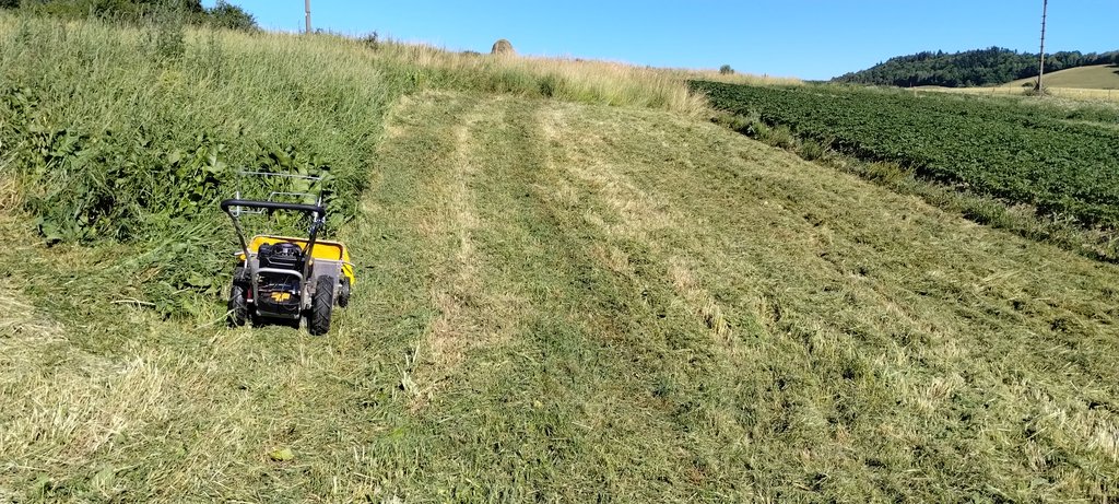 IMG-a2bc915f599afdccf3f8731a6cbd90a4-V