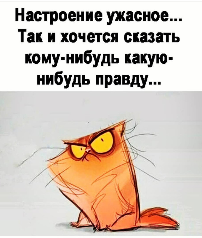 Screenshot-2021-07-09-09-11-53-10.jpg