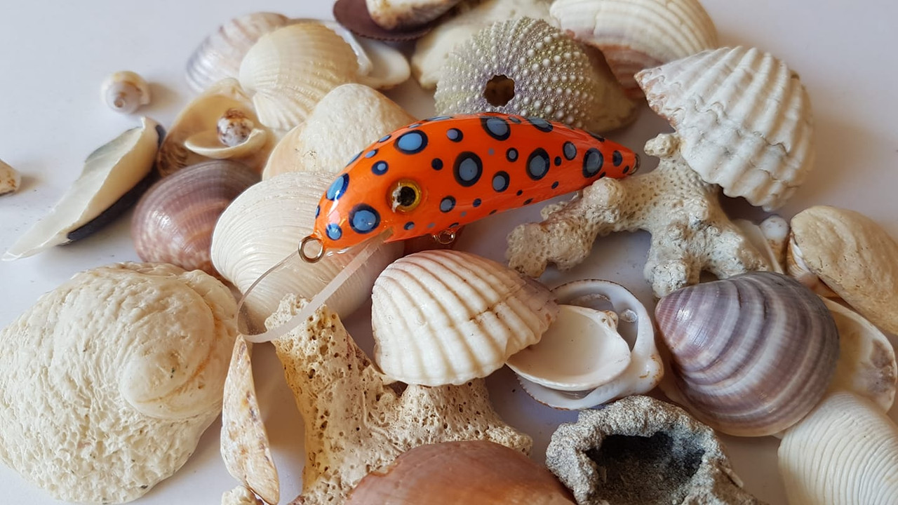 158671811-1872870886212416-7531395812182