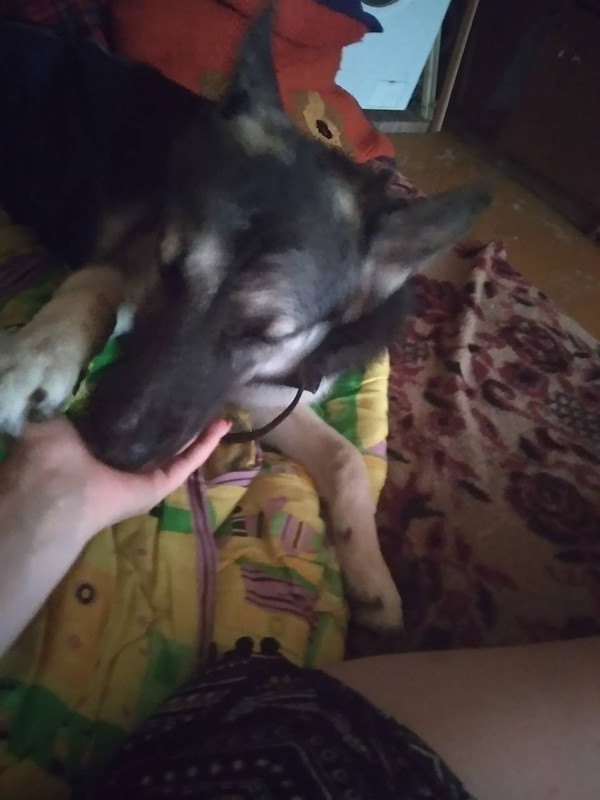 IMG-323284842f8c90494962a7cac427fd08-V