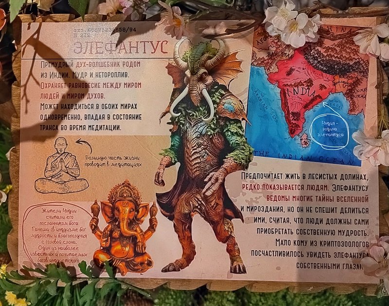 https://i.postimg.cc/xdDsTpLJ/204-IMG-20250128-152907.jpg