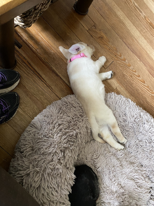 AA4C7C23-6B8F-4211-BDCB-BC46B6CC16D2