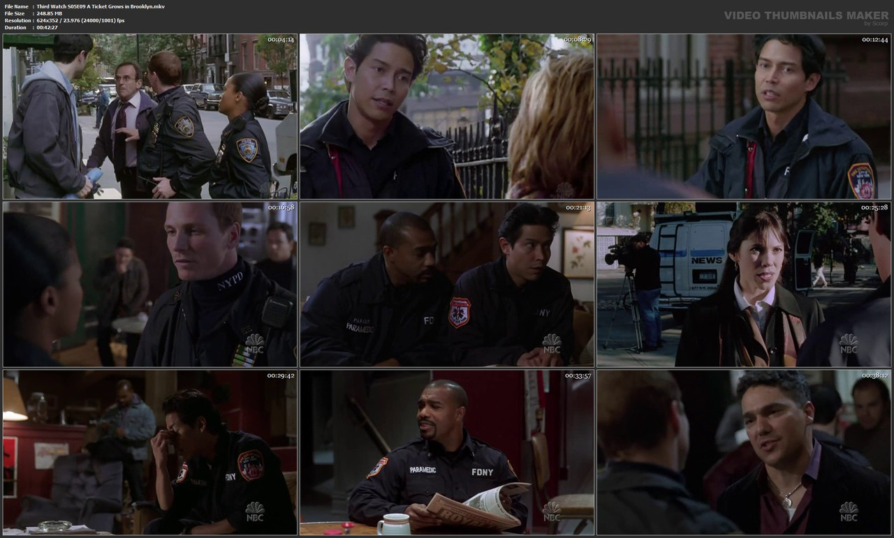 Third Watch S05E09 A Ticket Grows in Brooklyn.mkv