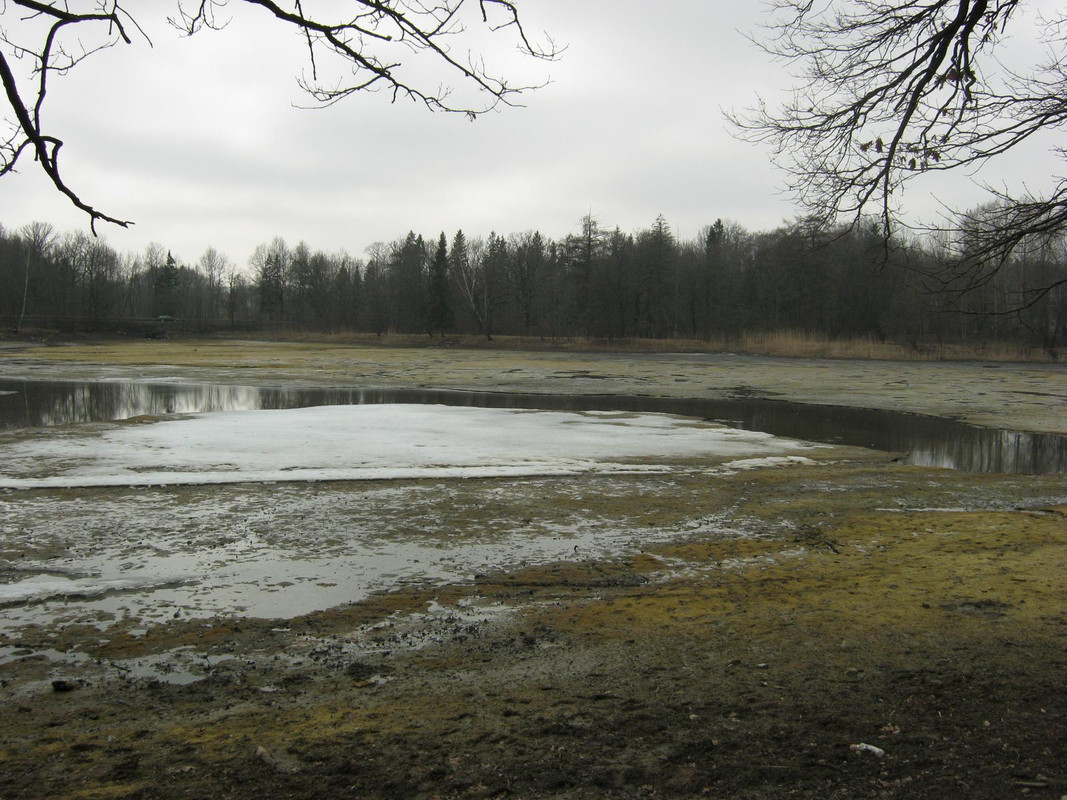 весна, Ропша