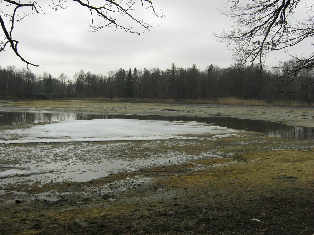 весна, Ропша