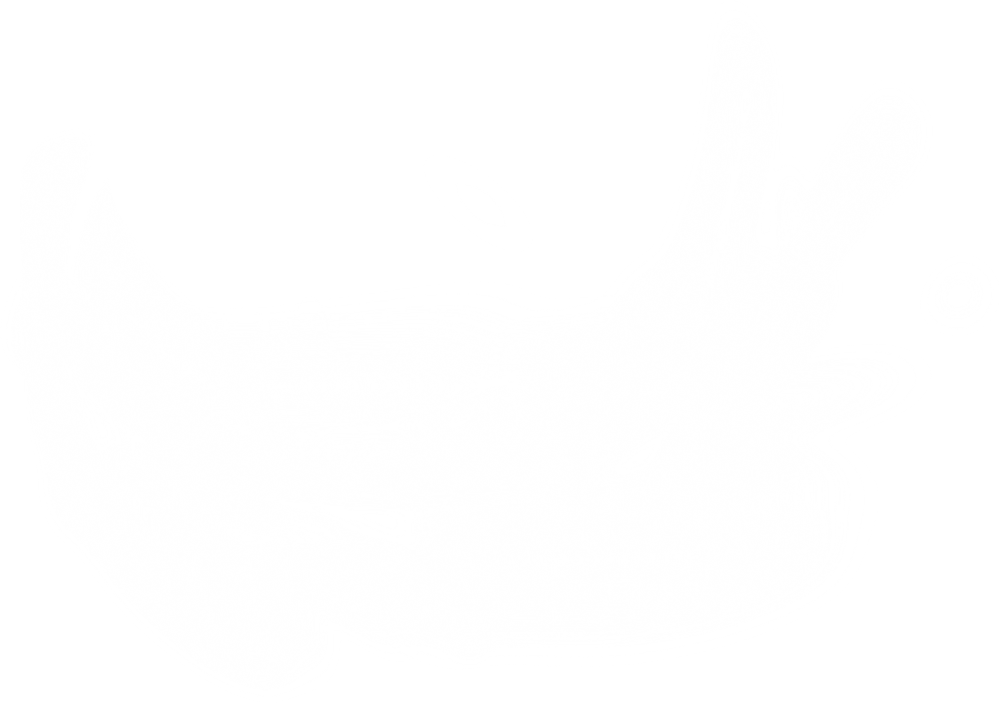 Autumn Witchery (155)