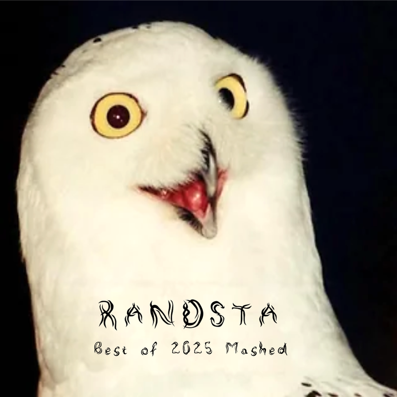 randsta-best-of-2025-Mashups.png