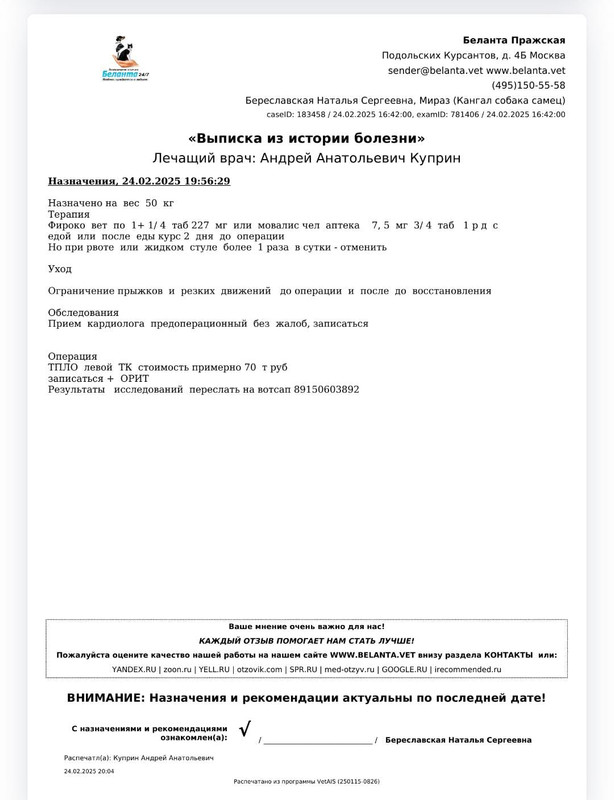 https://i.postimg.cc/xdG3Hjsk/IMG-20250224-WA0084.jpg