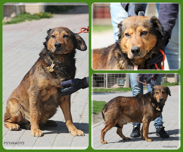 BeFunky-collage (15)