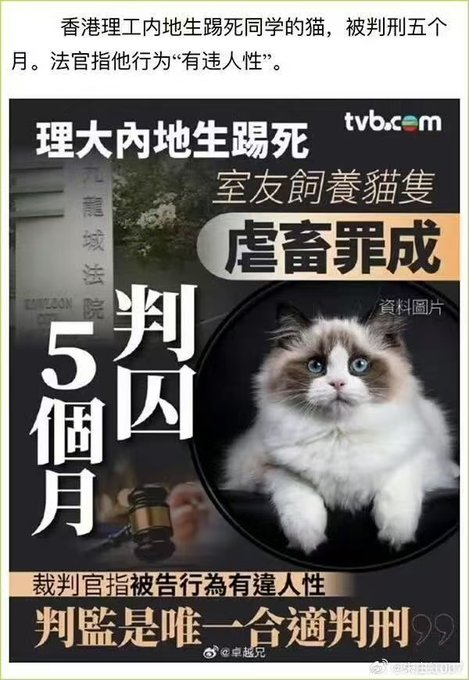 https://i.postimg.cc/xdG9bjRZ/imige-13.jpg