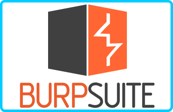 Burp-Suite-Professional-2022-3-4-Beta.png