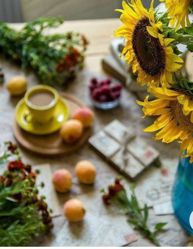 Screenshot_20230211_151650_Chrome