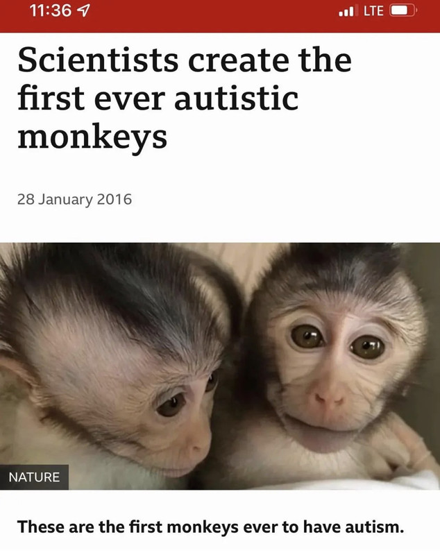 1663535911173411.jpg