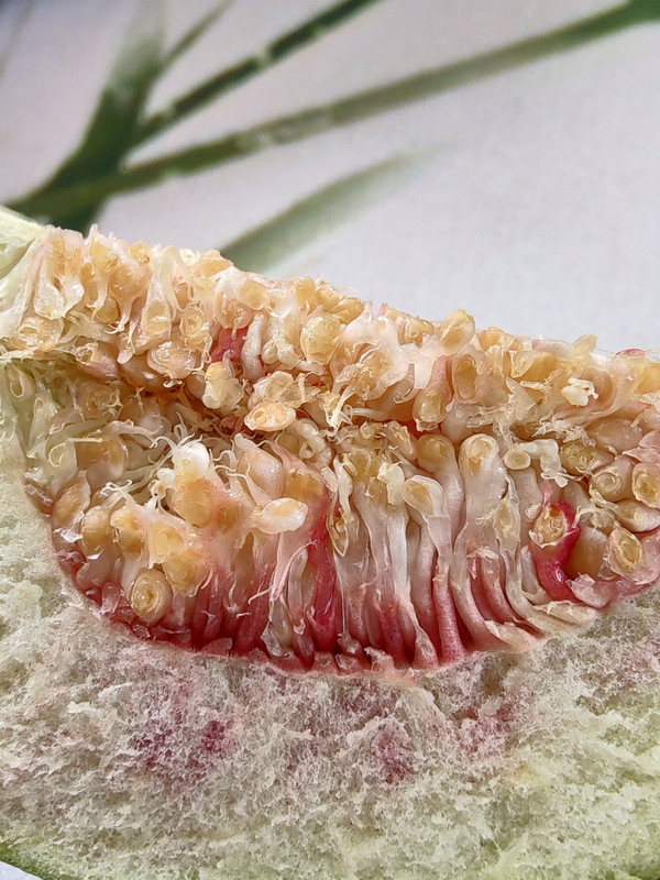 IMG_20230610_111745888_HDR