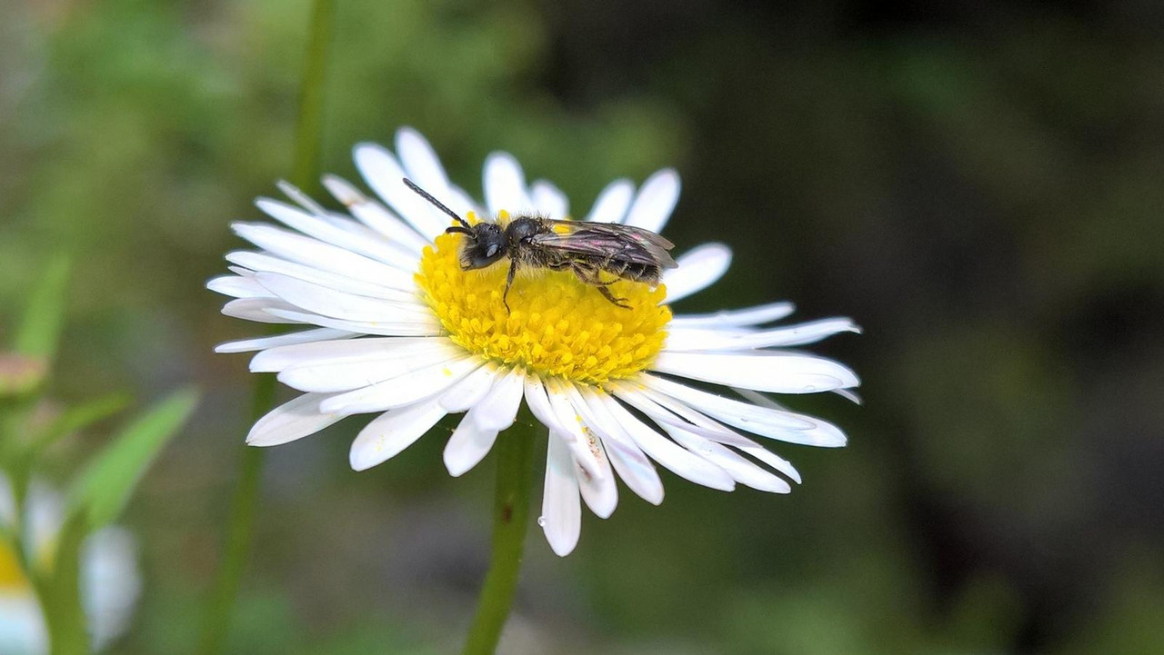 WP_20180616_15_16_58_Pro (2)