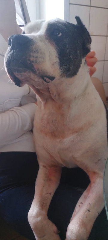 04C2A025-A2D6-4239-8E45-B00356EDD3F7