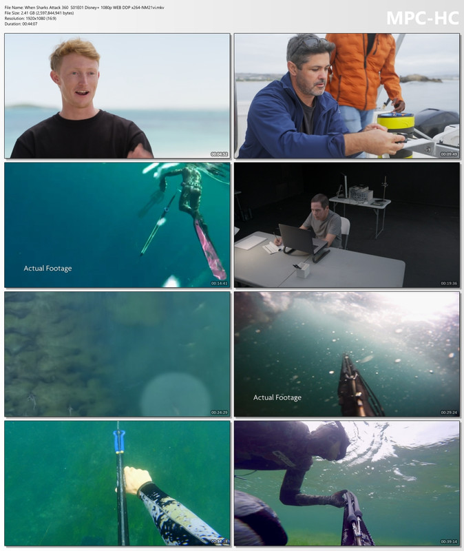 When Sharks Attack 360  S01E01 Disney  1080p WEB DDP x264-NM21vi.mkv_thumbs