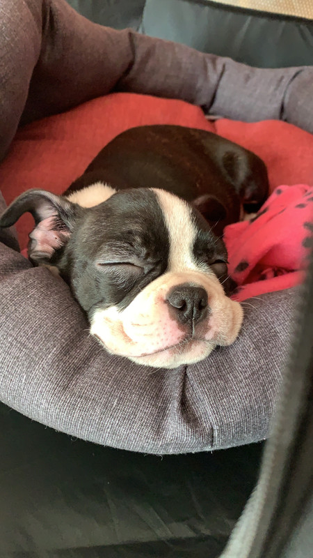 59395A6B-8C40-4F6F-8DD2-578EC72D7F9F