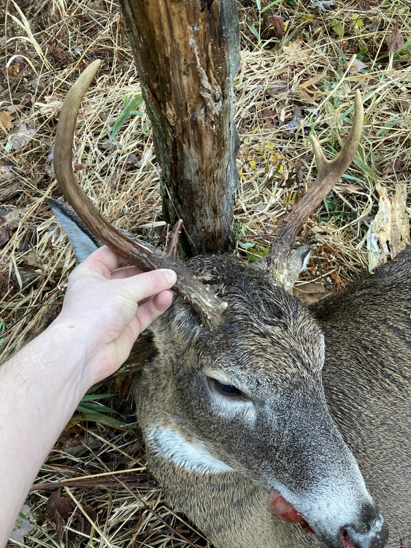 75616570-C1F4-42A9-941F-BDD353C28E24