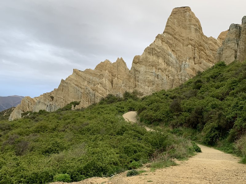 Dunedin-Twizel - Nueva Zelanda: La primavera Kiwi nos fue marcando la ruta (4)