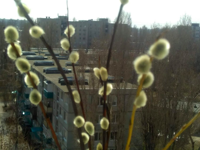 IMG-2019-04-21-120844.jpg