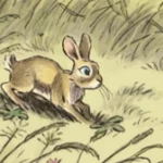 Fiver in the Graphic Novel