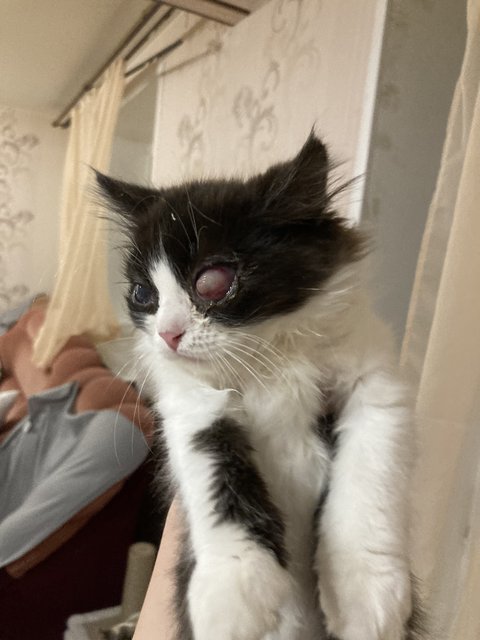 CCB6E8F6-852A-4DD2-8A23-AB57105AFA90