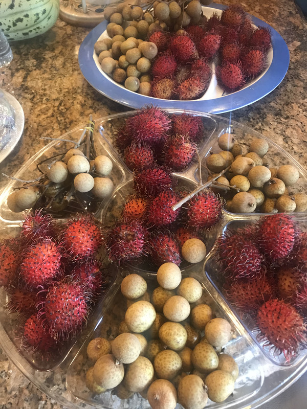 1EC36634-EB80-4FB2-86F4-0E9D98DB7FB2