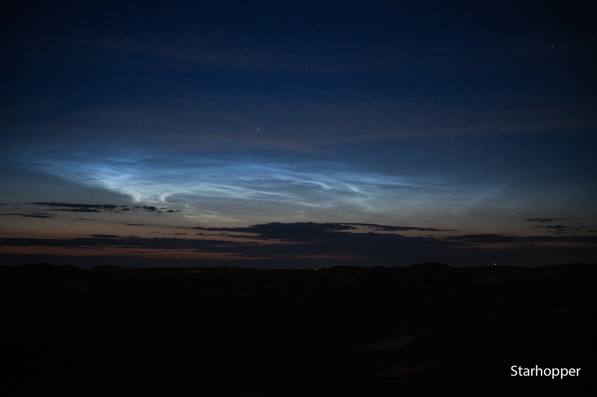 NLC.jpg