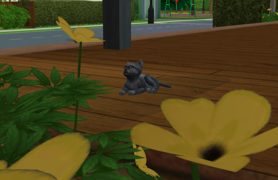 Sims2-EP9-RPC-2021-05-15-15-03-22-02